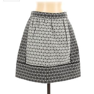 NWT Jcrew skirt